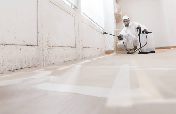 24/7 Emergency Basement Mold Remediation experts in Portland, OR