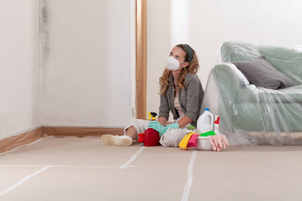 Reliable Basement Mold Remediation contractor in Portland, OR by WQB Mold Removal